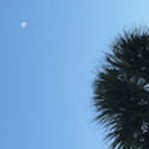 Meet your Posher, Misty